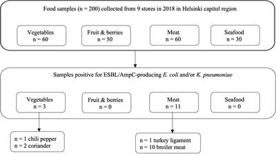 Plasmid-Borne and Chromosomal ESBL/AmpC Genes in Escherichia coli and Klebsiella pneumoniae in Global Food Products